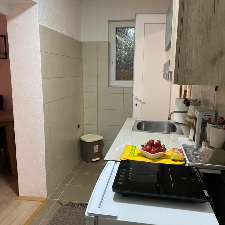 Apartman Novičić - Apartman sa 1 Spavaćom Sobom - 7