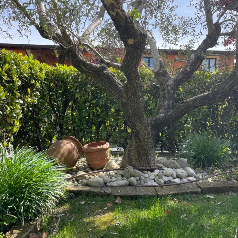 Gardasole 45 Piscina, Giardino e Lido a piedi - Appartamento con 2 Camere da Letto - 34