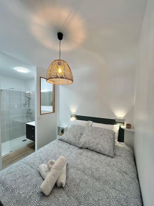 Studio aux 2 terrasses - Appartement 1 Chambre - 6