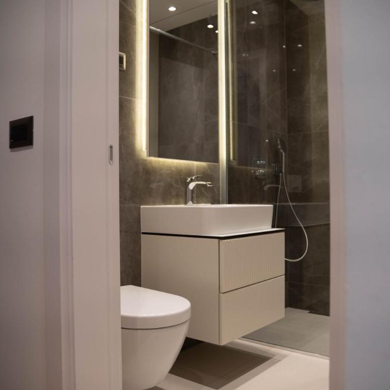 Central Lux Novi Dorcol - Apartman sa 1 Spavaćom Sobom - 4