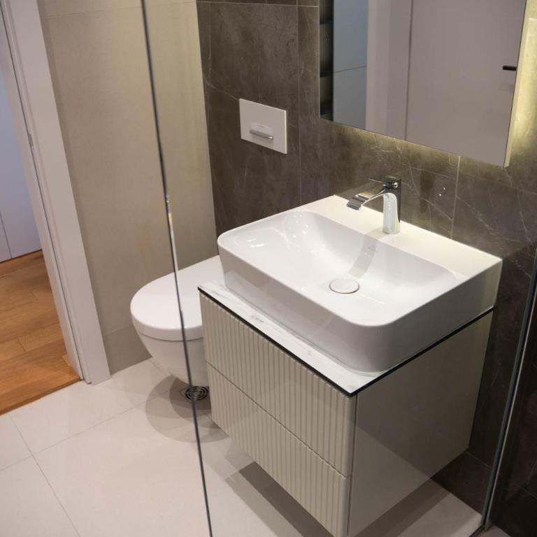 Central Lux Novi Dorcol - Apartman sa 1 Spavaćom Sobom - 11