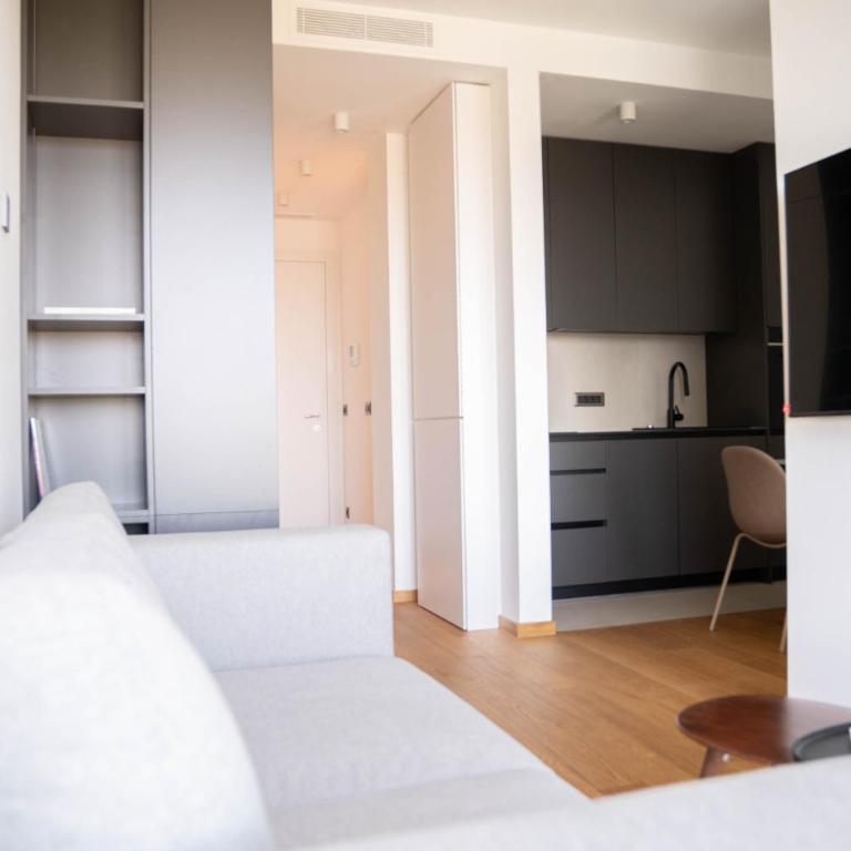 Central Lux Novi Dorcol - Apartman sa 1 Spavaćom Sobom - 13