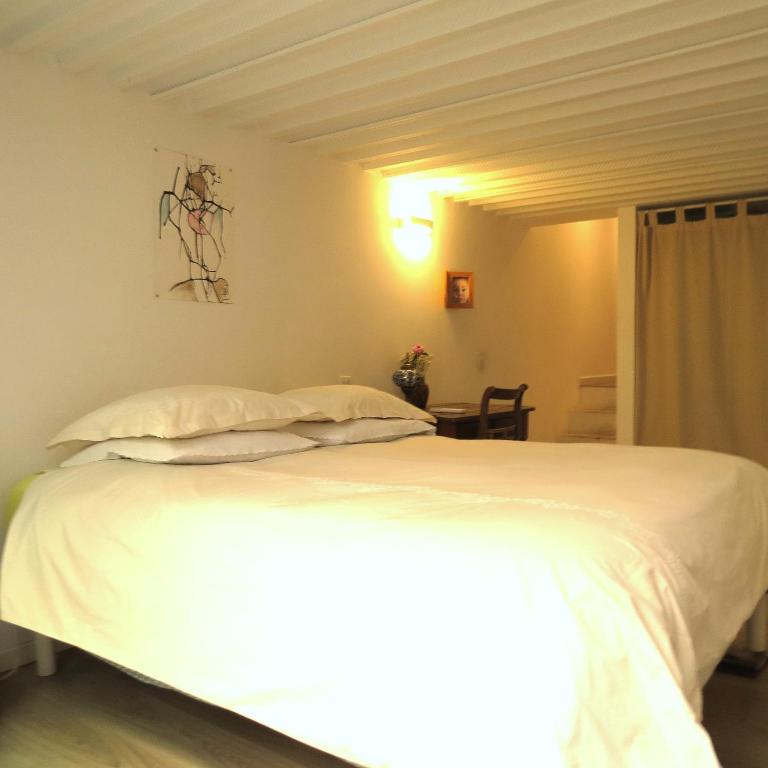 Loft lumineux et calme, hyper centre, 4 chambres, 2 patios, garage privatif - Villa - 25