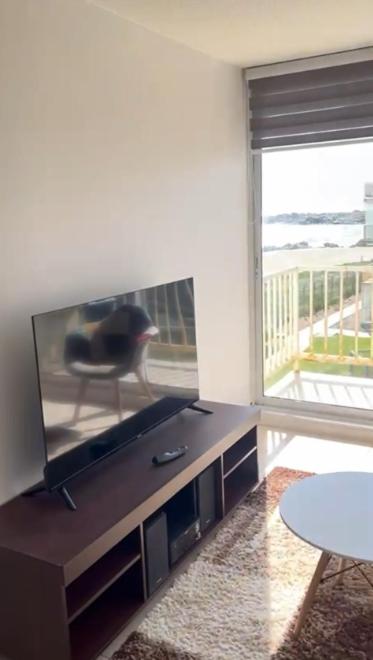Bordemar Las Cruces, primera línea de playa - Apartamento de 3 dormitorios - 10