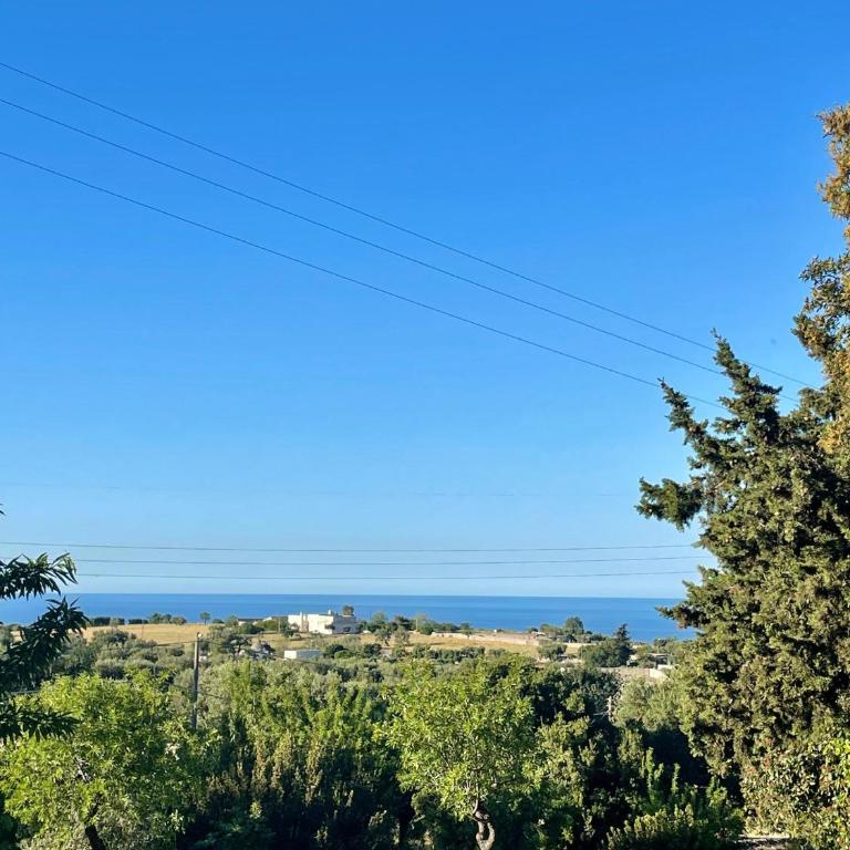 Il Gelso di nonno Ciccio - One-Bedroom Family Apartment - 31