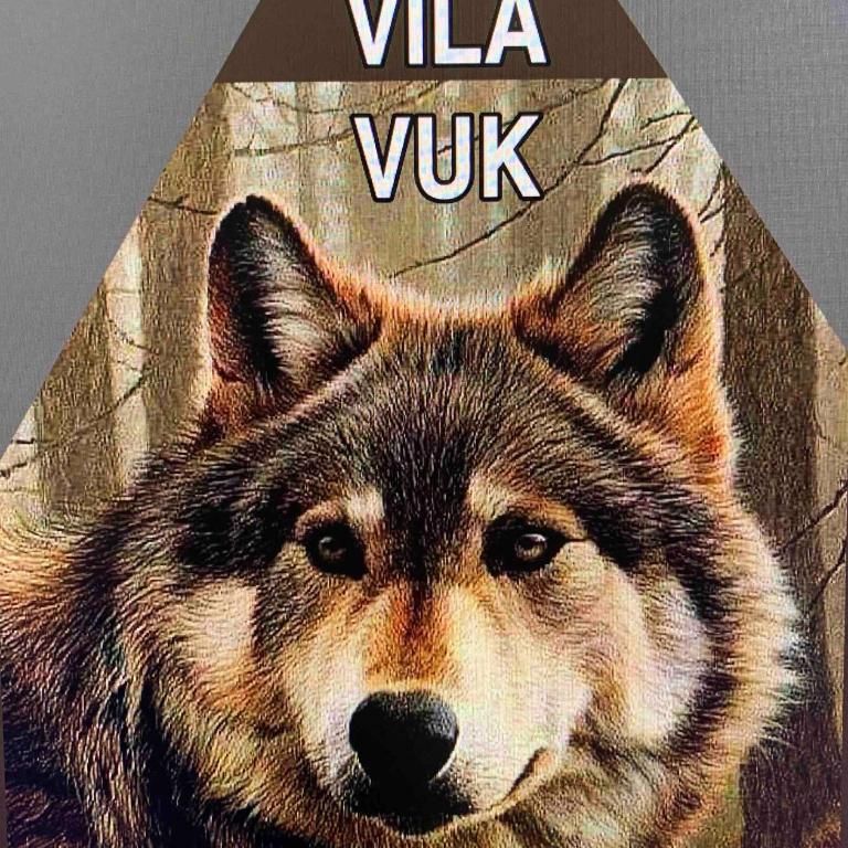 Vila Vuk - Two-Bedroom House - 43