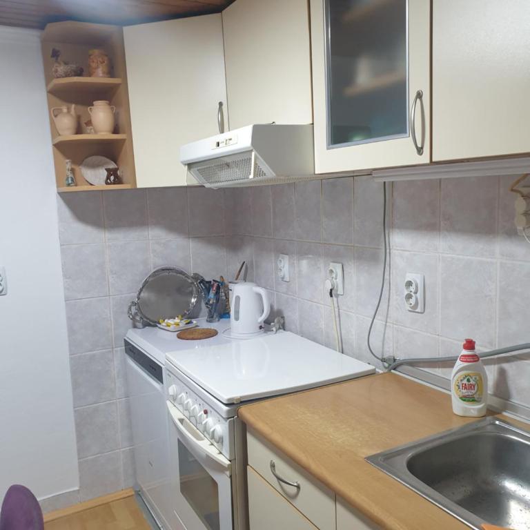 Apartman SI - Apartman sa 1 Spavaćom Sobom - 14