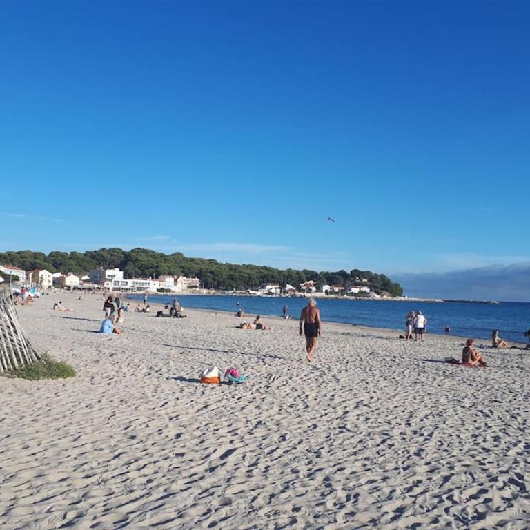 T2 paisible, wifi, proche plage et pinède - Apartment mit 1 Schlafzimmer - 30