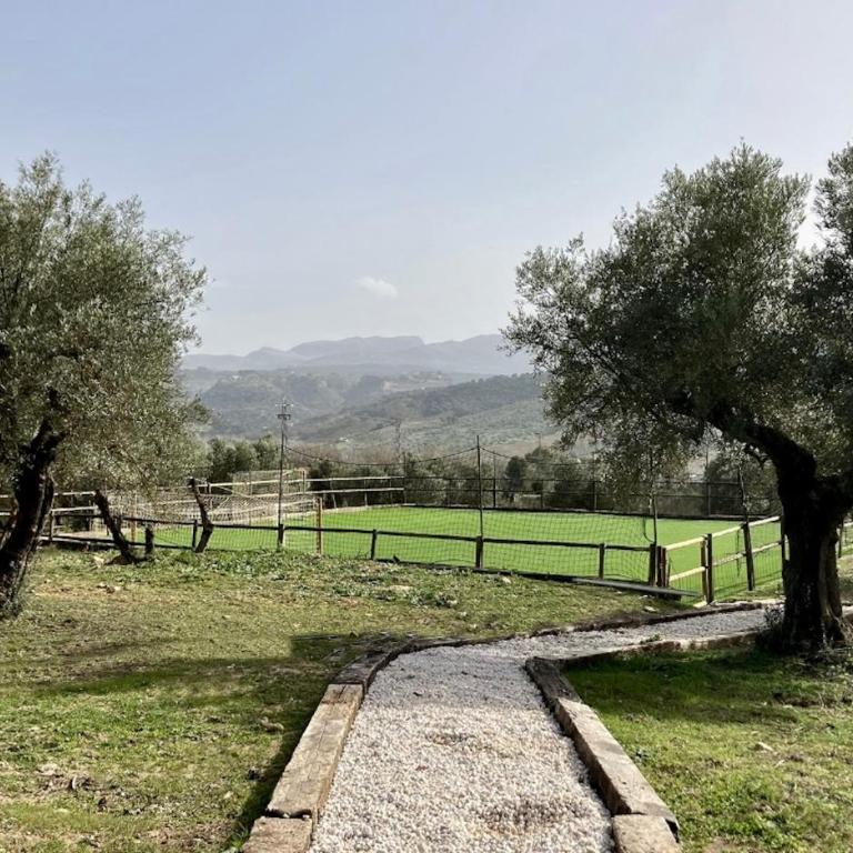 Finca La Marquesa - Luxury Villa in Ronda - Villa con piscina privada - 19