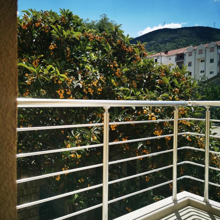 Tomm - Standard Apartment - 1
