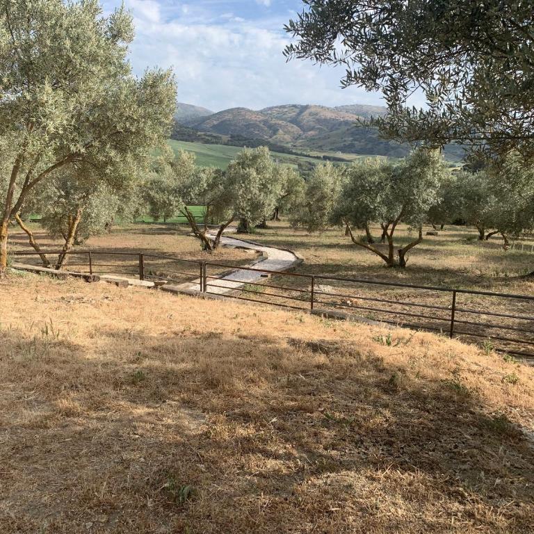 Finca La Marquesa - Luxury Villa in Ronda - Villa con piscina privada - 25