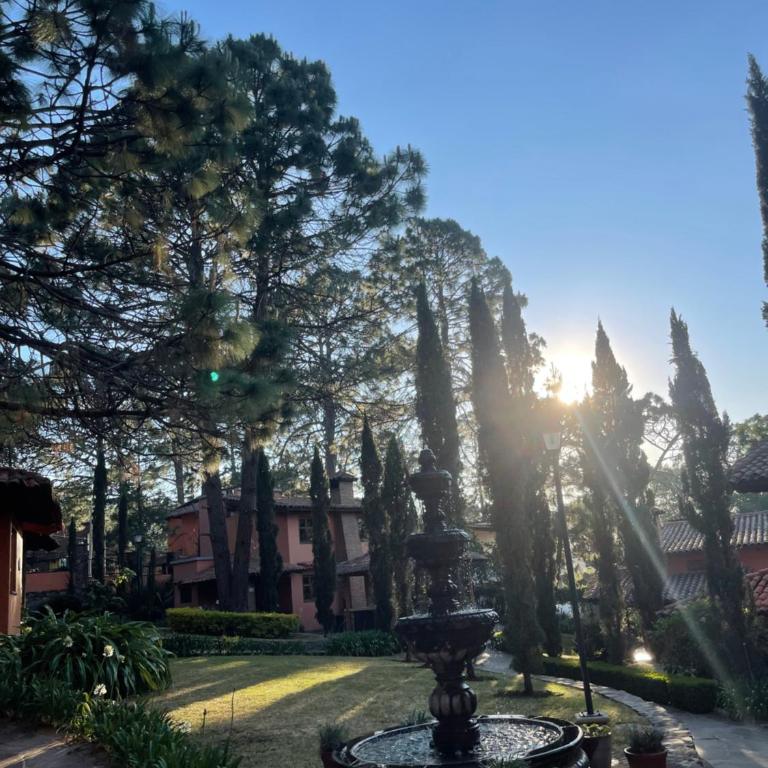 Tulipán - Villa de 3 dormitorios - 14