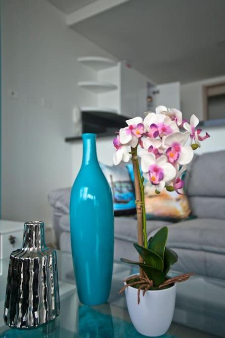 MURANO ELITE LUXURY OCEANFRONT BOCAGRANDE. - Apartamento de 1 dormitorio - 30