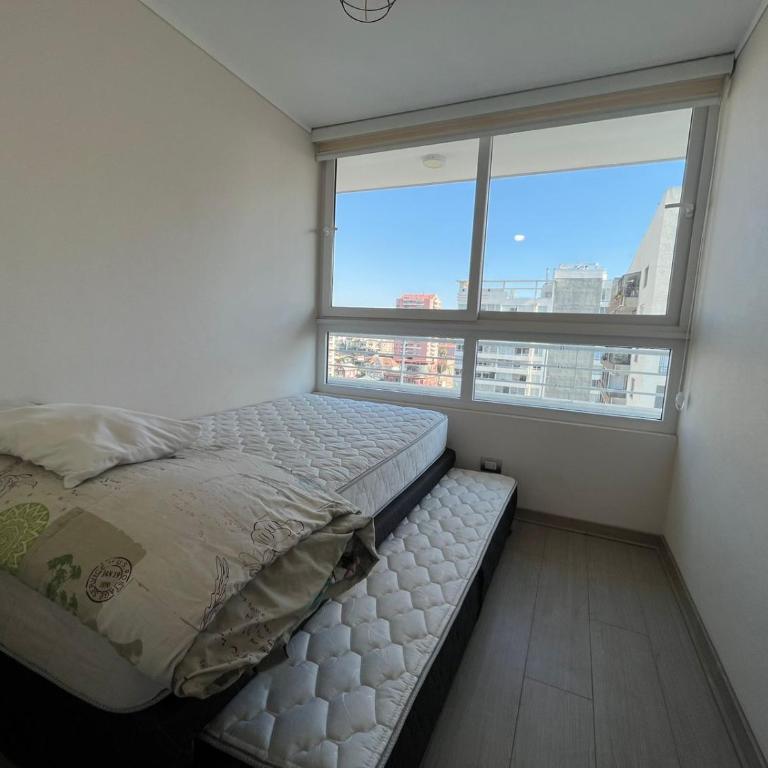 Departamento 1601 Vive Miramar - Apartamento de 3 dormitorios - 19