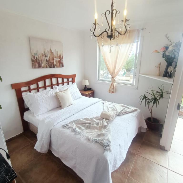 Cabañas Toto Península Beach - One-Bedroom House - 7