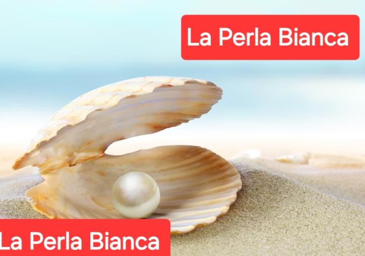 La perla bianca - Appartamento con 2 Camere da Letto - 55