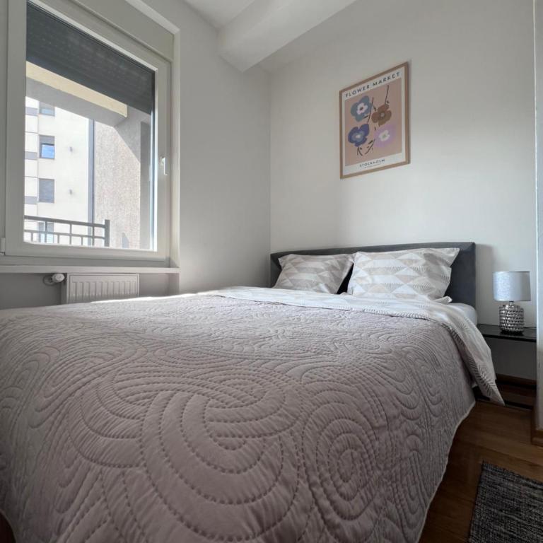 MSCondoApartment - Two-Bedroom Apartment - 6
