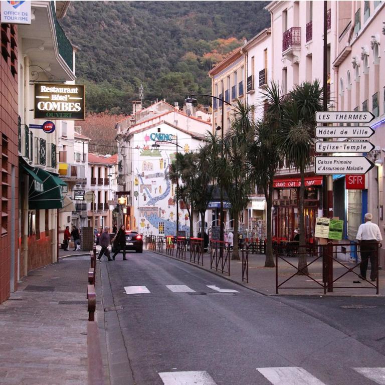 Appart'Hôtel Le Combes - Appartement - 14