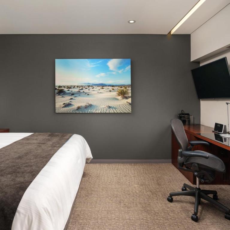 Presidente InterContinental Mexico City by IHG - Club King Room with Chapultepec View - 6