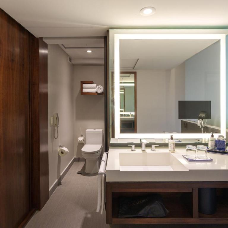 Presidente InterContinental Mexico City by IHG - Club King Room with Chapultepec View - 5