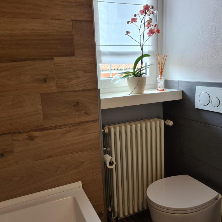 Cuore di Alba Charming Apartment - Appartamento con 2 Camere da Letto - 3