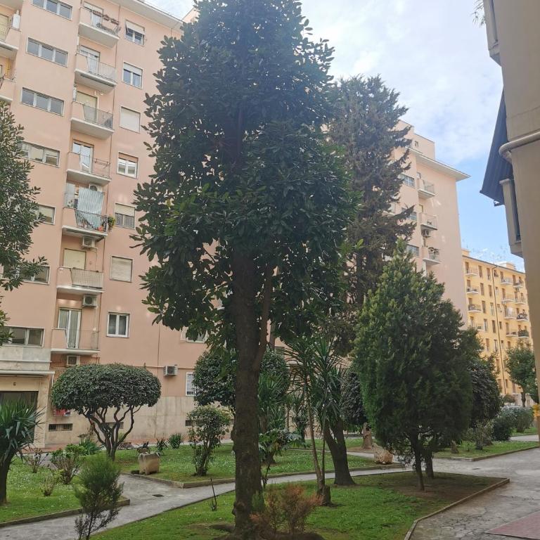 Don Bosco Home near Metro A - Appartamento con 1 Camera da Letto - 10