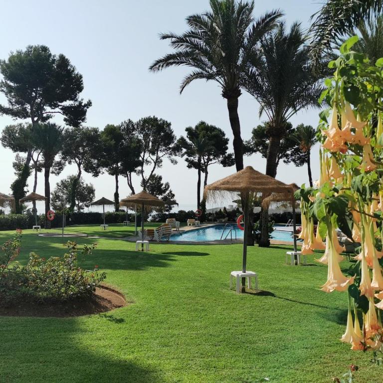Parque Miraflores CS233 - Apartamento - Planta baja - 21