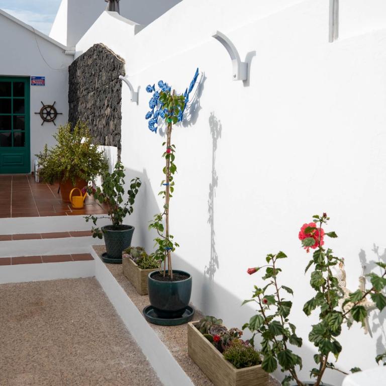 Villa Little Milli 68 A2 - One-Bedroom House - 4