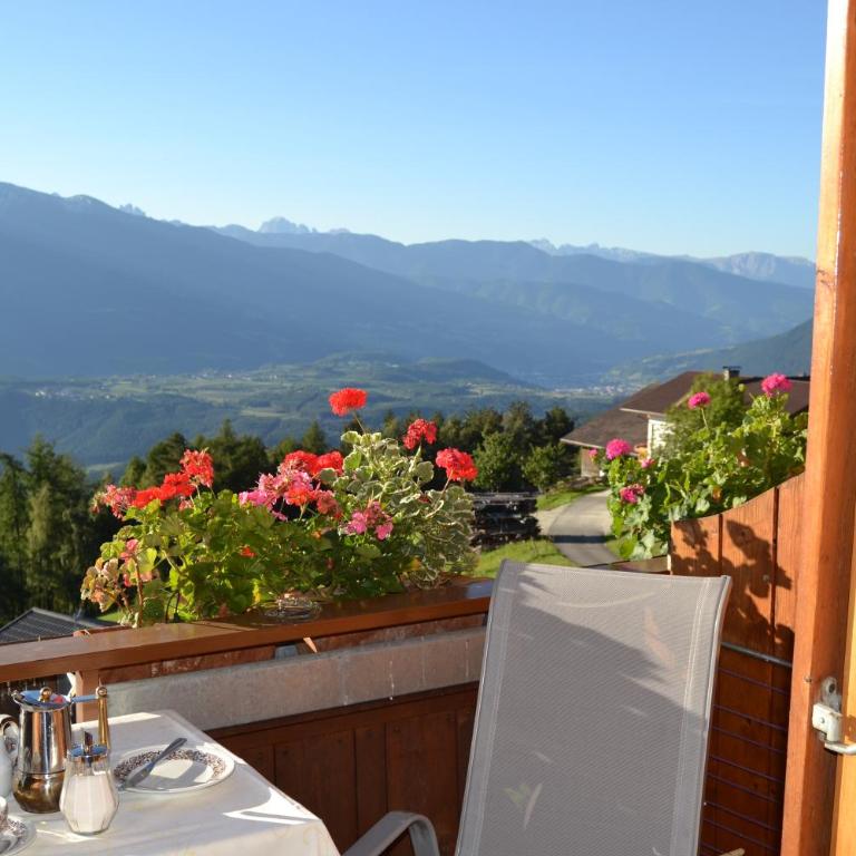 Residence Rastbichl - Apartments & Indoor-Pool - Appartamento con 1 Camera da Letto, Balcone e Vista Montagna - 16