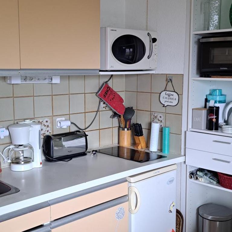 Studio Phannie libre 27septembre au 23 octobre base idéale cure à 50m parking Wi-Fi - Apartment mit 1 Schlafzimmer - 44