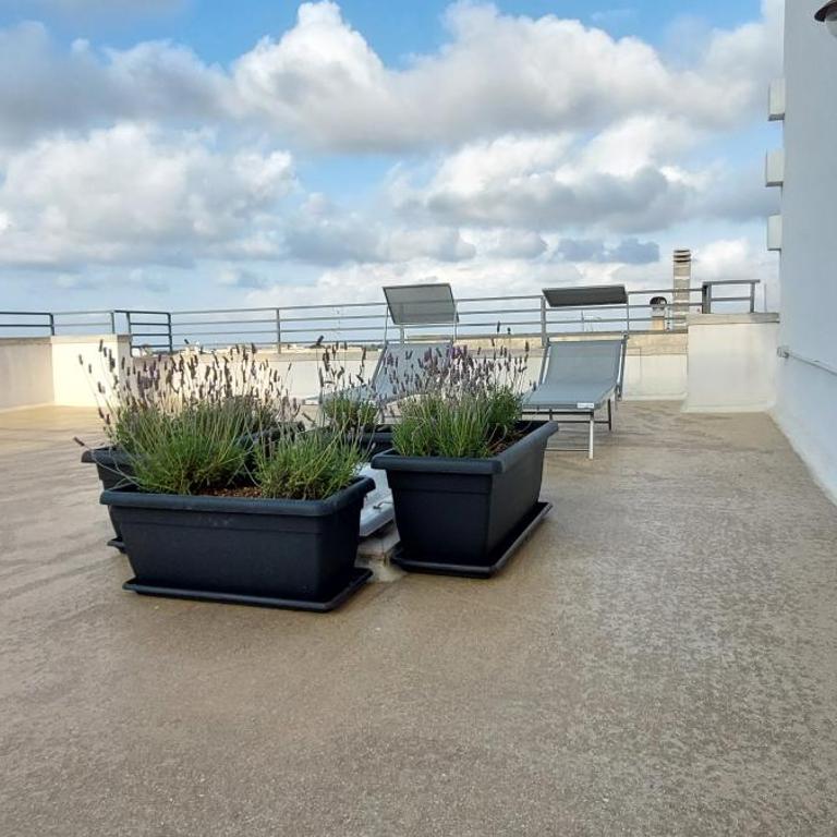 PugliaMia Casa - Sea view terrace, 3 bedroom, 2 bathroom - Appartamento con 3 Camere da Letto - 12