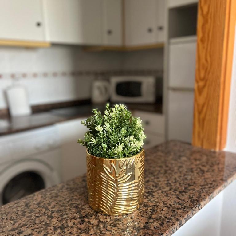 Sea Viev La Mata - One-Bedroom Apartment - 28