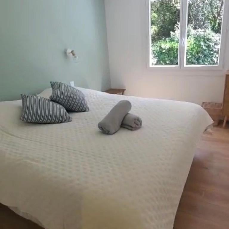 Magnifique Villa proche Golf & Centre d' Hossegor avec Jacuzzi - Villa - 12