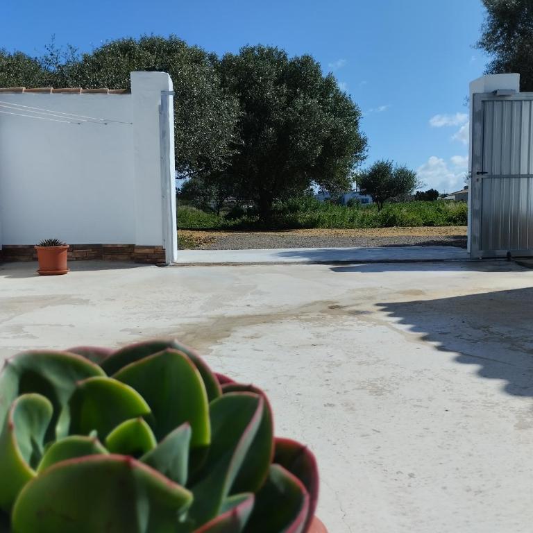 Casa El Merendero - Casa de 2 dormitorios - 29