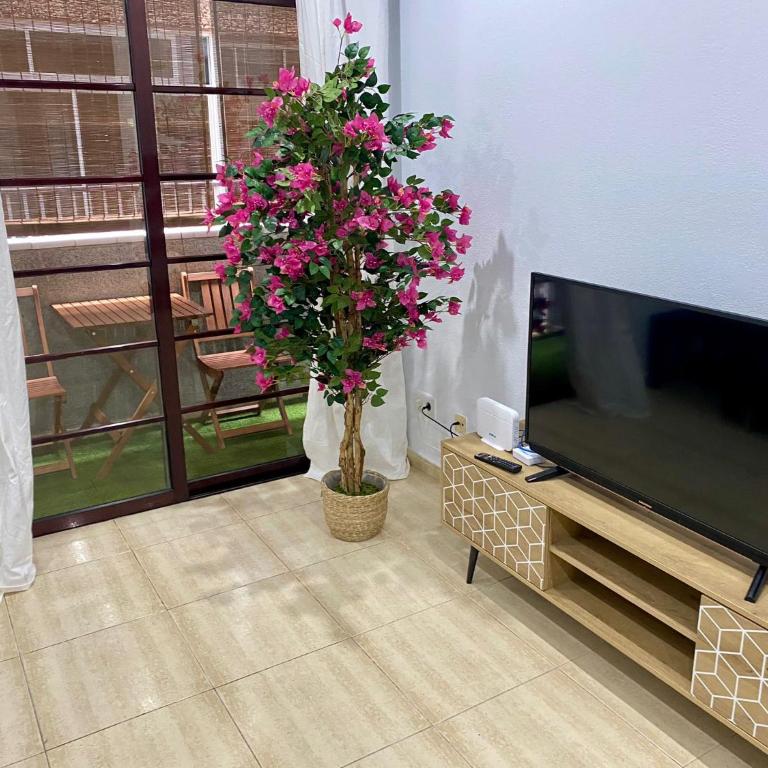 Loft Santa Catalina Park II - Apartamento de 2 dormitorios - 23