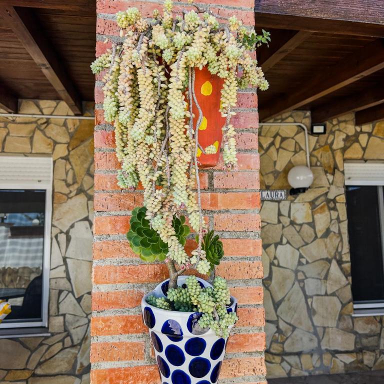 Villa Rosal- Solo familias y parejas - Chalet mit 2 Schlafzimmern - 13
