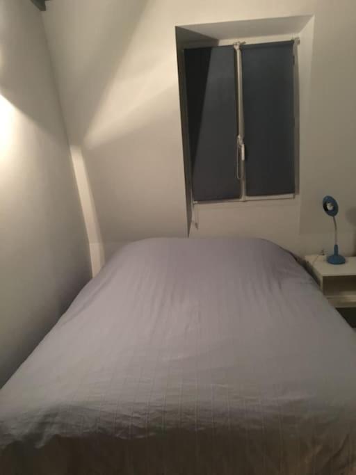 MAISON 4 CHAMBRES,JARDIN ET TERRASSE, proche mer,casino et place Morny - Villa - 24