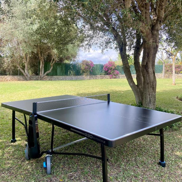 Finca Santa Maria - Casa - 32
