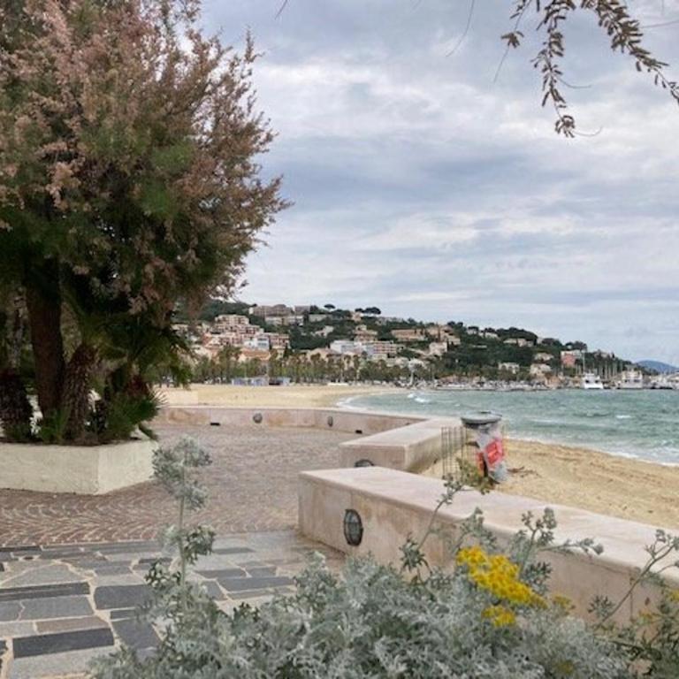 Studio lumineux avec terrasse et parking au Lavandou - FR-1-308-170 - Studio - 12