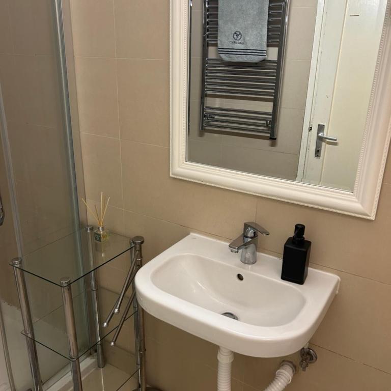 Centar of centar belgrade - Apartman sa 2 Spavaće Sobe - 10
