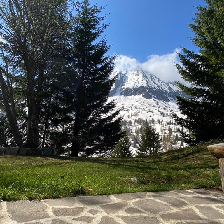 La Casa di Mares - Ski, Bike&Hike - Appartamento con Terrazza - 4