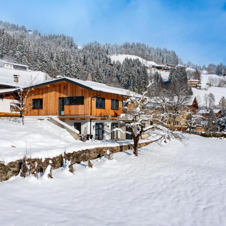 Alpenchalet zurHinterochsenweide SKI IN & SKI OUT - Apartment mit 2 Schlafzimmern und Dusche - 64