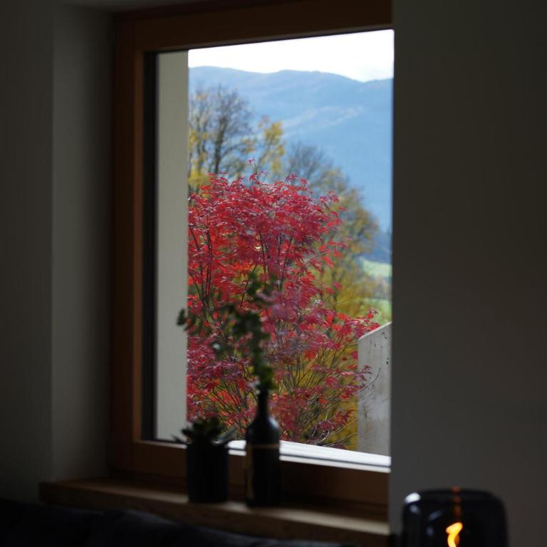 Alpenchalet zurHinterochsenweide SKI IN & SKI OUT - Apartment mit 2 Schlafzimmern und Dusche - 66