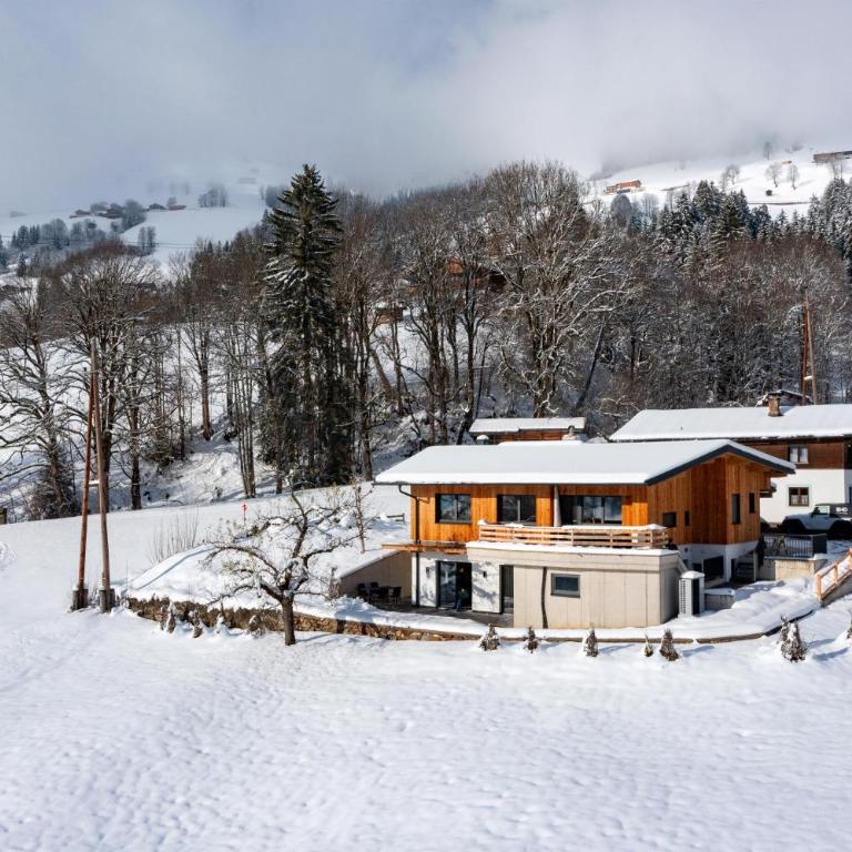 Alpenchalet zurHinterochsenweide SKI IN & SKI OUT - Apartment mit 2 Schlafzimmern und Dusche - 67