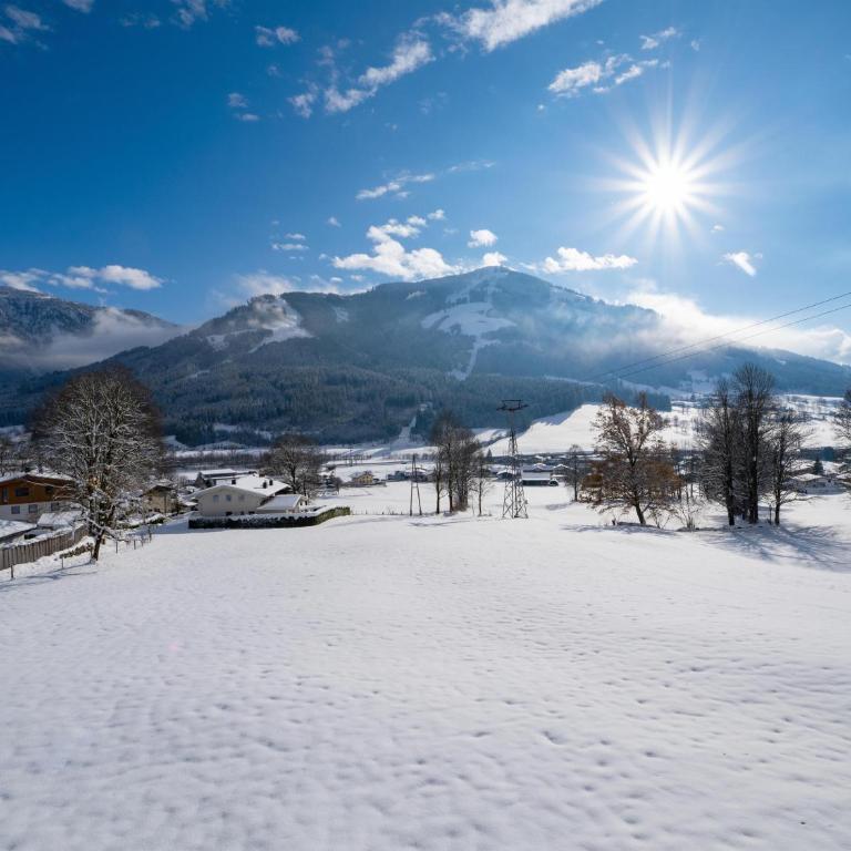 Alpenchalet zurHinterochsenweide SKI IN & SKI OUT - Apartment mit 2 Schlafzimmern und Dusche - 73