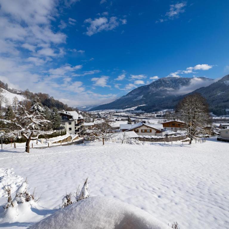 Alpenchalet zurHinterochsenweide SKI IN & SKI OUT - Apartment mit 2 Schlafzimmern und Dusche - 80