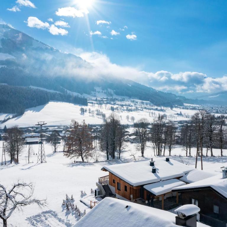 Alpenchalet zurHinterochsenweide SKI IN & SKI OUT - Apartment mit 2 Schlafzimmern und Dusche - 84