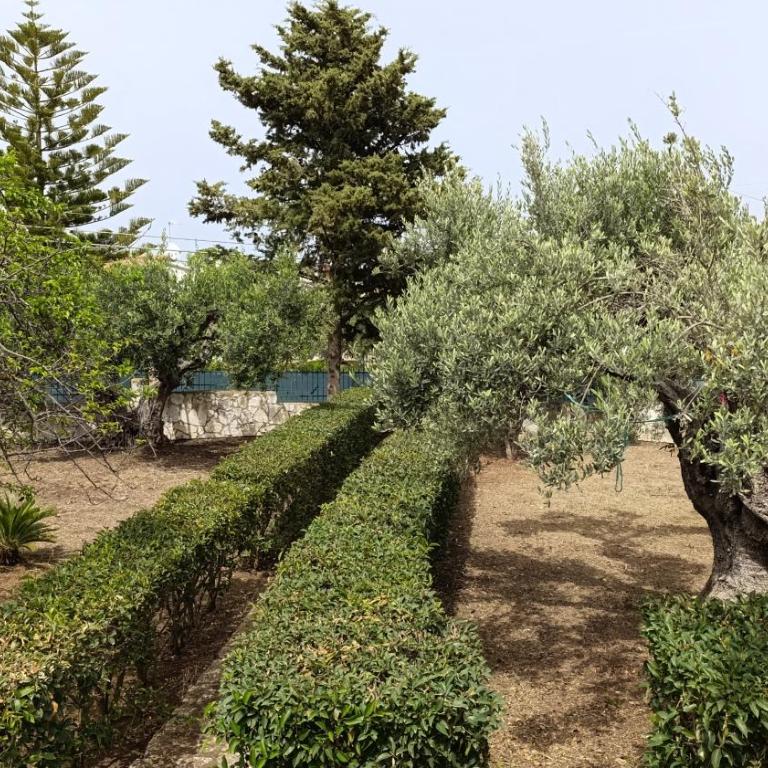 Villa Il Giardino di Rosa- 5 Min from the sea-Fraginesi - Two-Bedroom Villa - 9