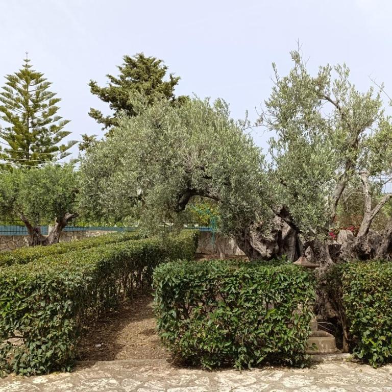 Villa Il Giardino di Rosa- 5 Min from the sea-Fraginesi - Two-Bedroom Villa - 8