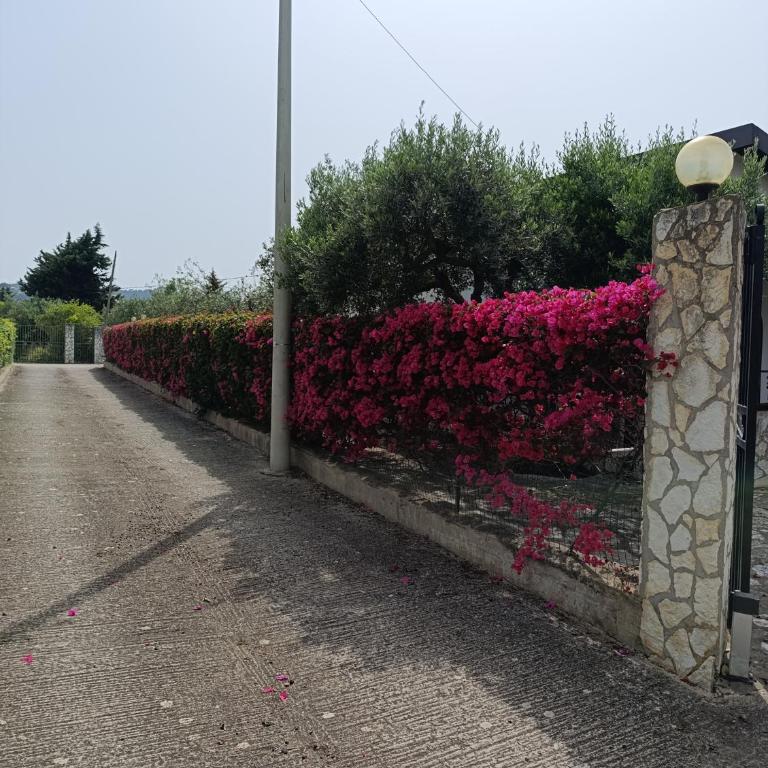 Villa Il Giardino di Rosa- 5 Min from the sea-Fraginesi - Two-Bedroom Villa - 6